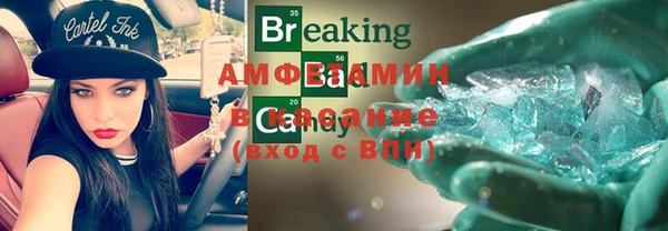 прущие грибы Волоколамск