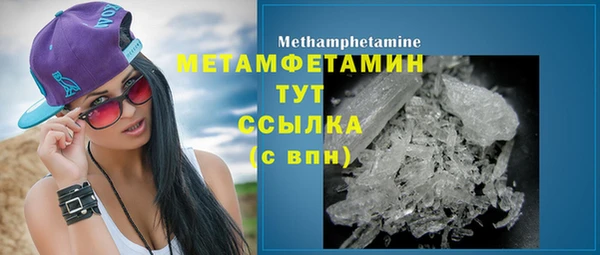 прущие грибы Волоколамск