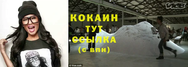 прущие грибы Волоколамск