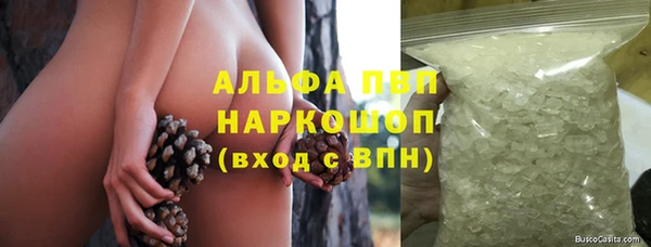 прущие грибы Волоколамск
