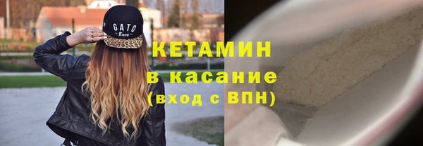 прущие грибы Волоколамск