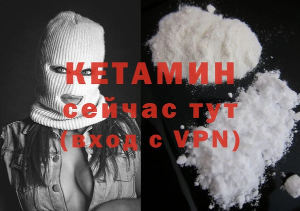 прущие грибы Волоколамск