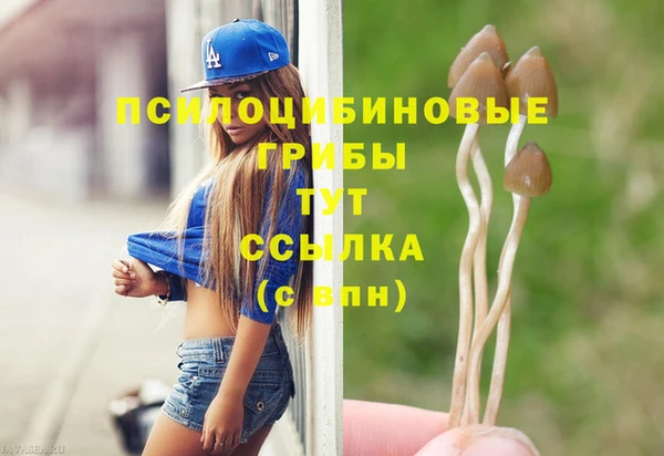 прущие грибы Волоколамск